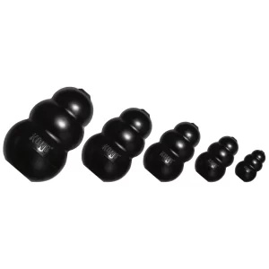 Kong Extreme