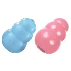 Kong Puppy